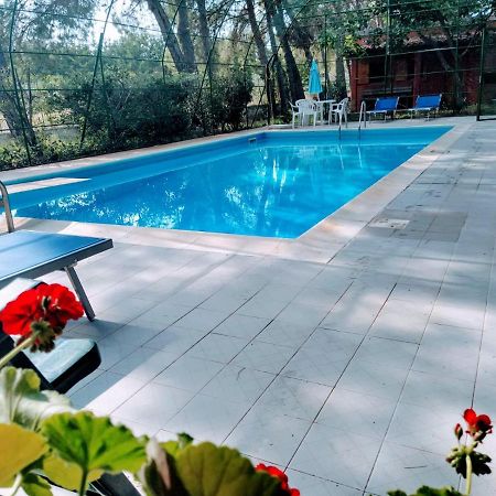 Agriturismo Valle Verde Альтамура Экстерьер фото