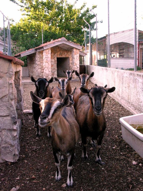 Agriturismo Valle Verde Альтамура Экстерьер фото